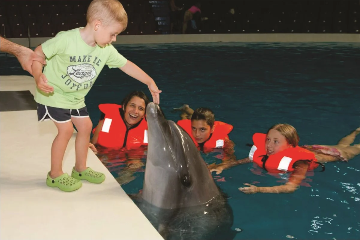 Dubai Dolphinarium Tickets