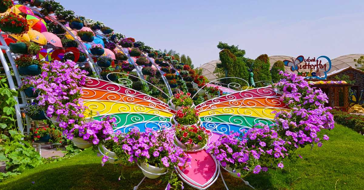 Dubai butterfly garden