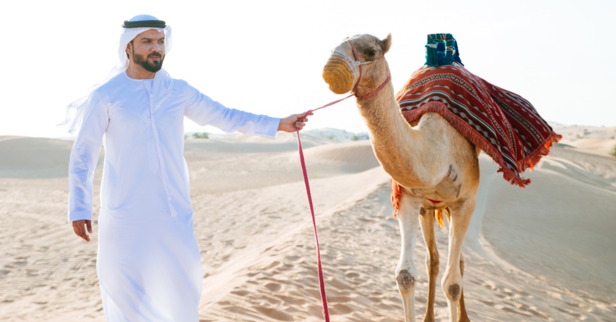 Camel riding Dubai