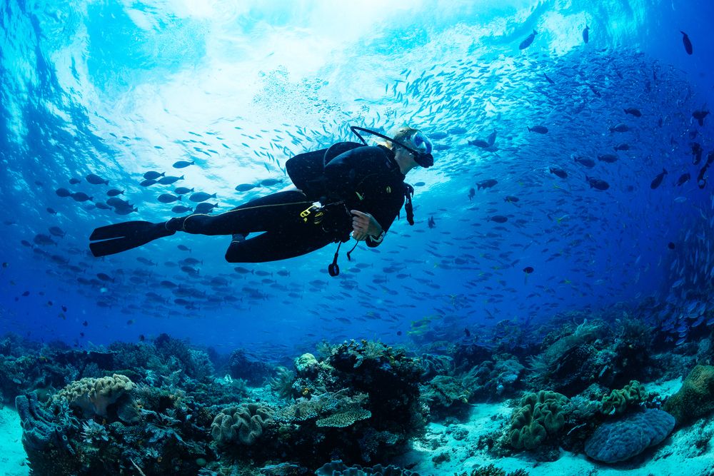scuba diving (1)