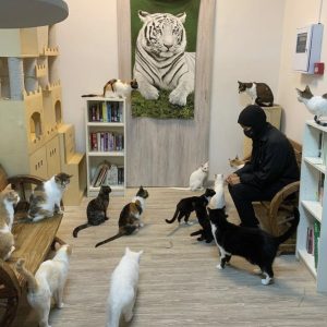 Ailuromania Cat Cafe Dubai
