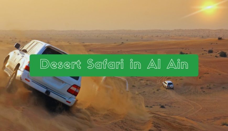 Desert Safari in Al Ain