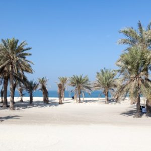 Umm Al Quwain's Kite Beach Center​