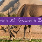 Umm Al Quwain Zoo